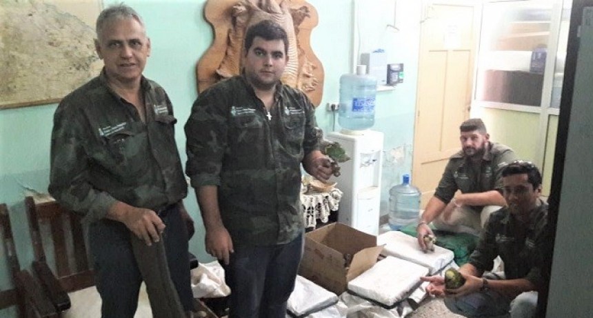 Fuerte Esperanza: Fauna interceptó tráfico ilegal de aves