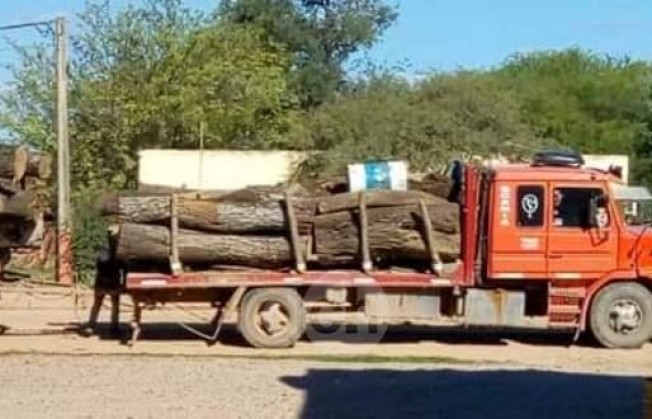 Sin control, siguen los desmontes en la provincia