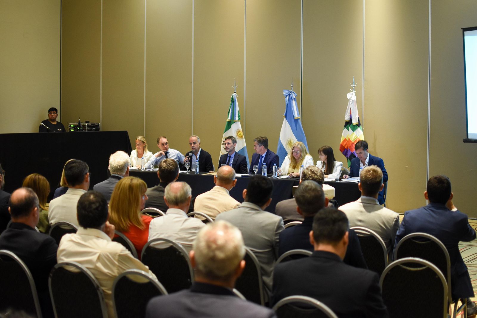EL GOBIERNO DEL CHACO CONCRETARÁ PROYECTOS DE DESARROLLO QUE SERÁN FINANCIADOS POR EL CFI
