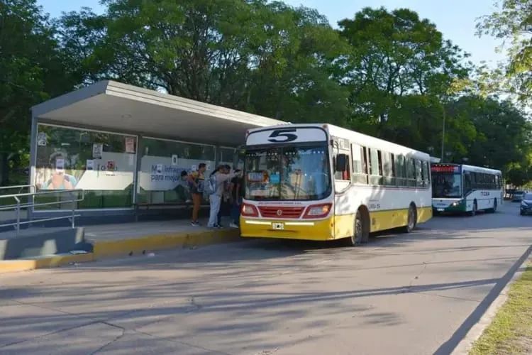 LA SUBSECRETARÍA DE TRANSPORTE DE LA PROVINCIA INSTÓ A LAS EMPRESAS DE COLECTIVOS A PRESTAR SERVICIOS CON NORMALIDAD