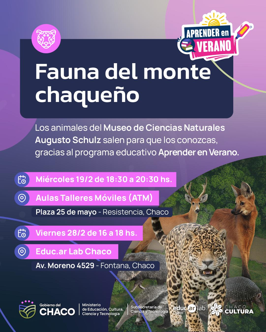 APRENDER EN VERANO: UNA EXPOSICIÓN DEL MONTE CHAQUEÑO DEL MUSEO DE CIENCIAS NATURALES LLEGA AL AULA TALLER MÓVIL Y EDUC.AR LAB CHACO
