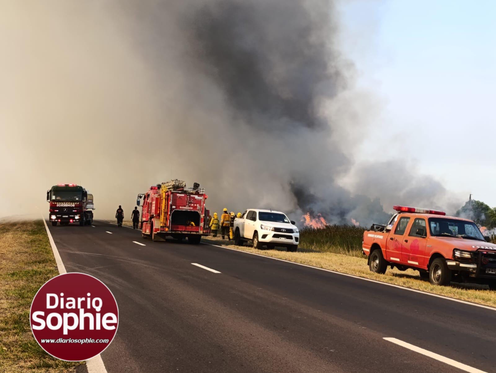 INCENDIO RURAL: TRABAJOS DE SECHEEP PARA REPONER POSTES QUEMADOS Y KILÓMETROS DE LÍNEAS EN BASAIL
