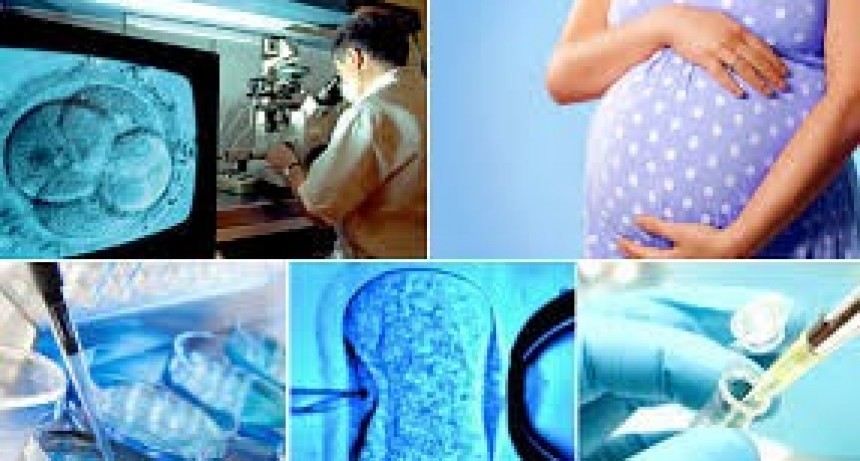 Reproducción médicamente asistida