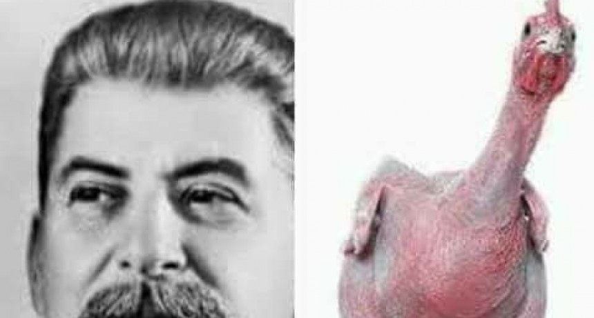 LA GALLINA DESESPERADA