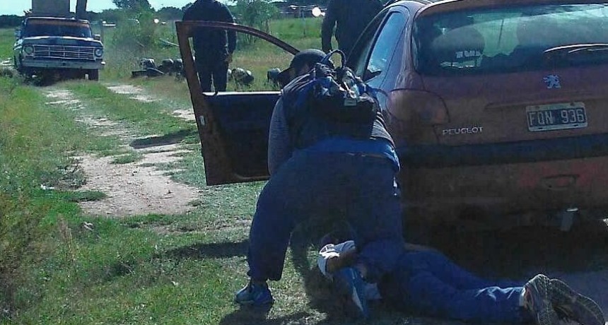 Detuvieron al organizador de una carrera de galgos y rescataron a 17 perros