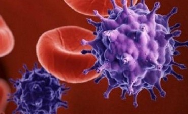 El mundo entero celebra la cura contra el SIDA: Siempre tuvimos la respuesta al alcance de nuestras manos.
