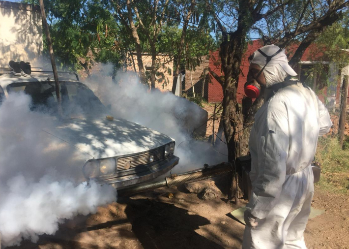 Ascienden a 2.453 los casos de dengue en Chaco: 46 nuevos positivos en un día