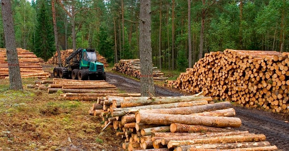 ASOCIACIÓN DE PRODUCTORES FORESTALES DE CASTELLI CELEBRA LA APROBACIÓN DE LA LEY DE ORDENAMIENTO TERRITORIAL DE BOSQUES NATIVOS.