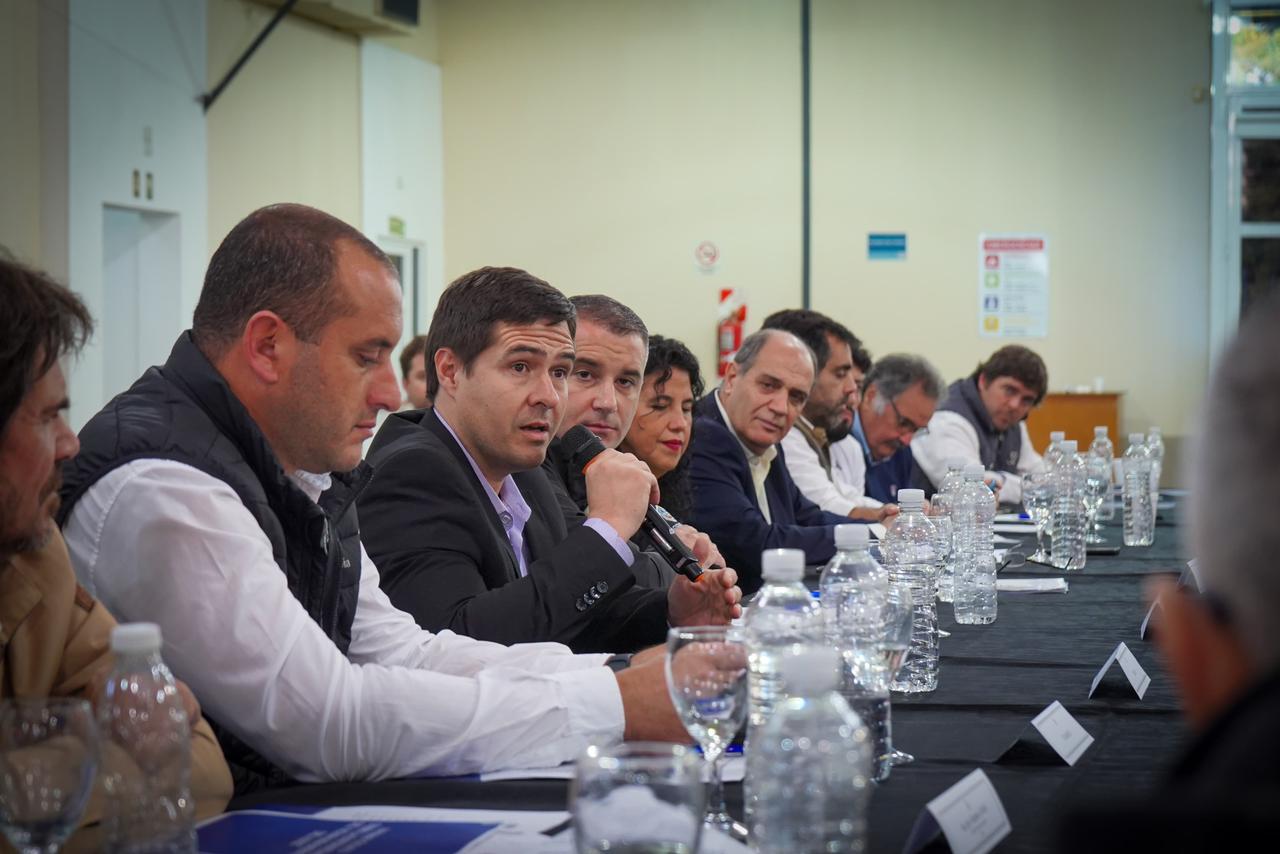 CHACO SE UNE AL COMITÉ DE CRISIS JUNTO A OTRAS 11 PROVINCIAS EN LA LUCHA CONTRA EL VECTOR “LA CHICHARRITA”