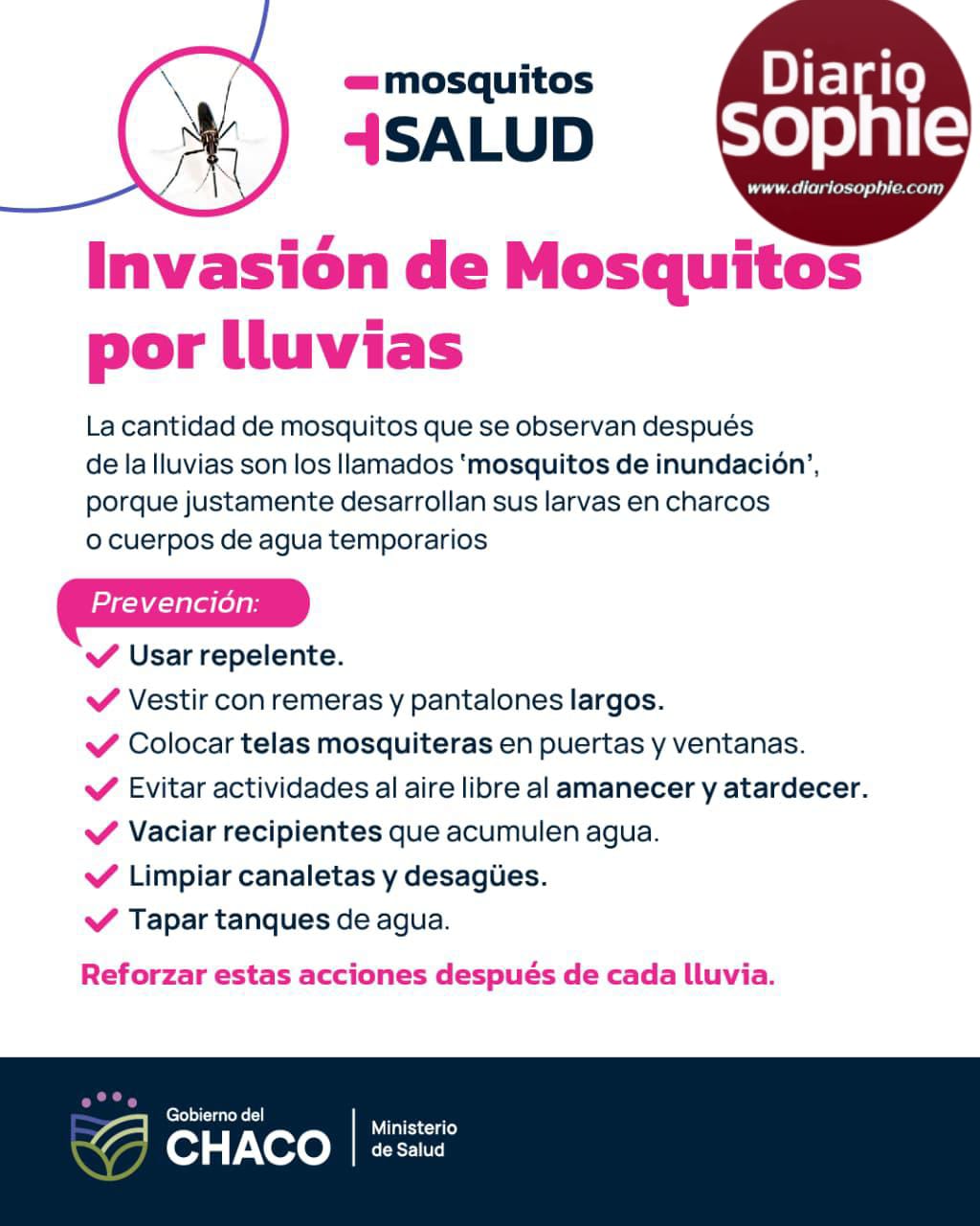 Cuidate de los llamados “Mosquitos de inundación”