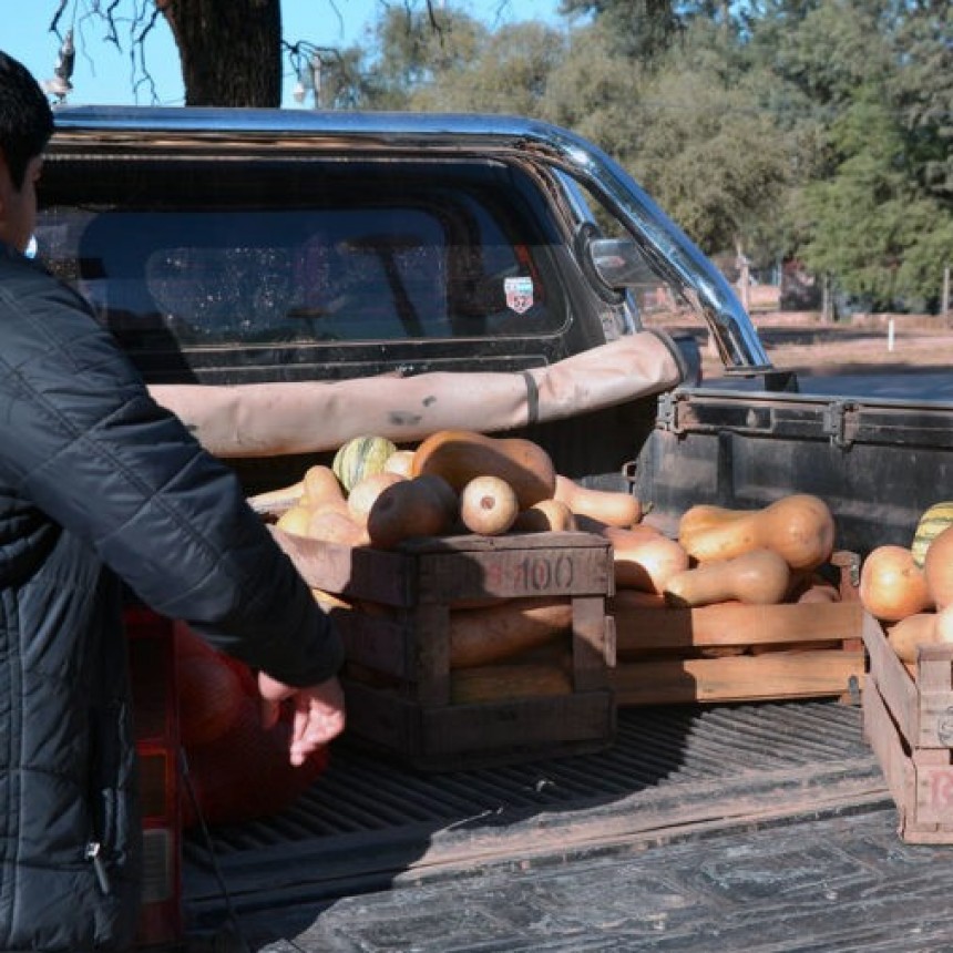 Funcionando la Huerta Municipal de Fuerte Esperanza