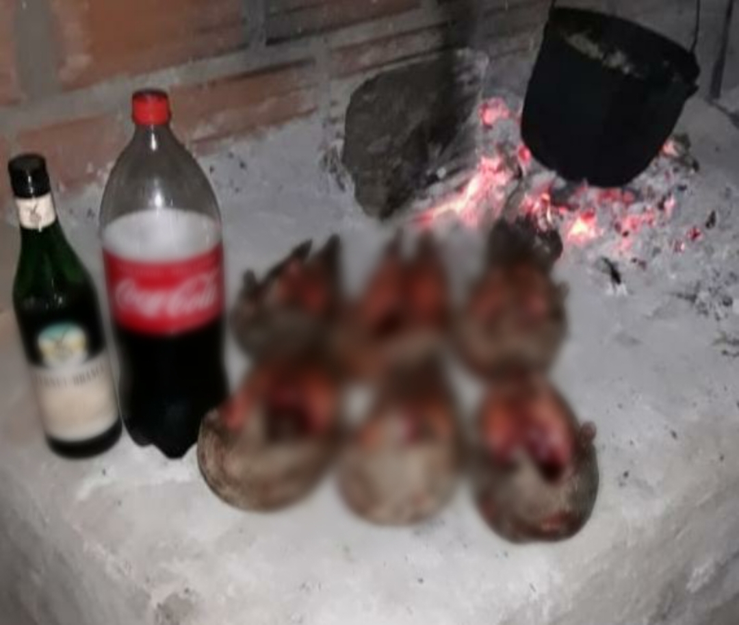 Impenetrable: La Caza y el Desmonte van de la Mano