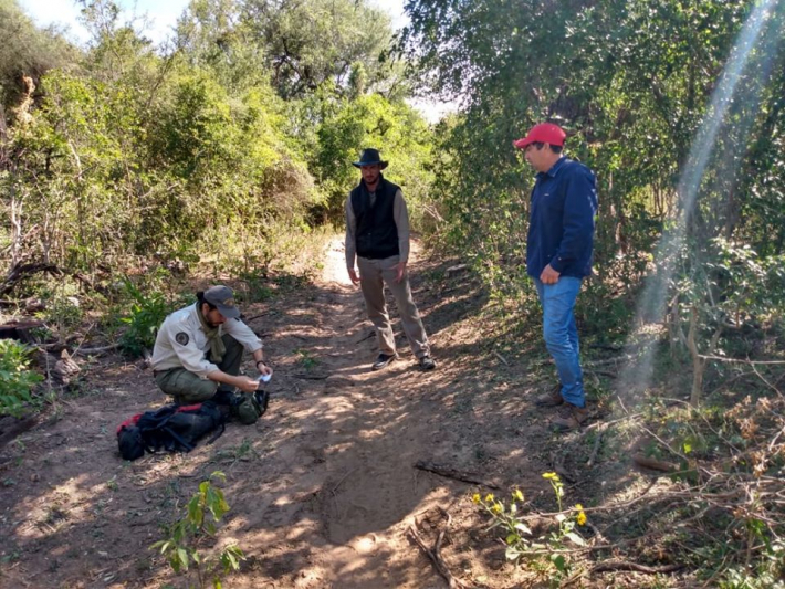 Registran presencia de Yaguareté en el parque nacional EL Impenetrable