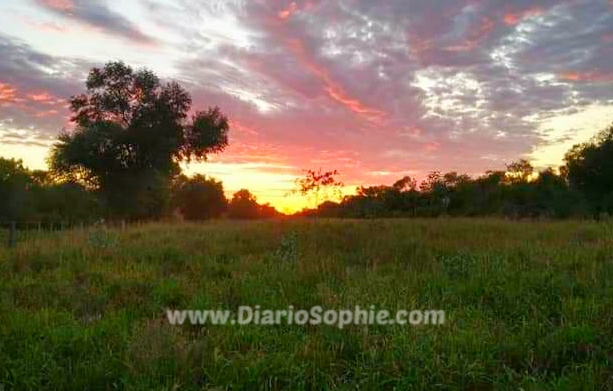 Hoy, el día más corto del año | El solsticio de invierno 