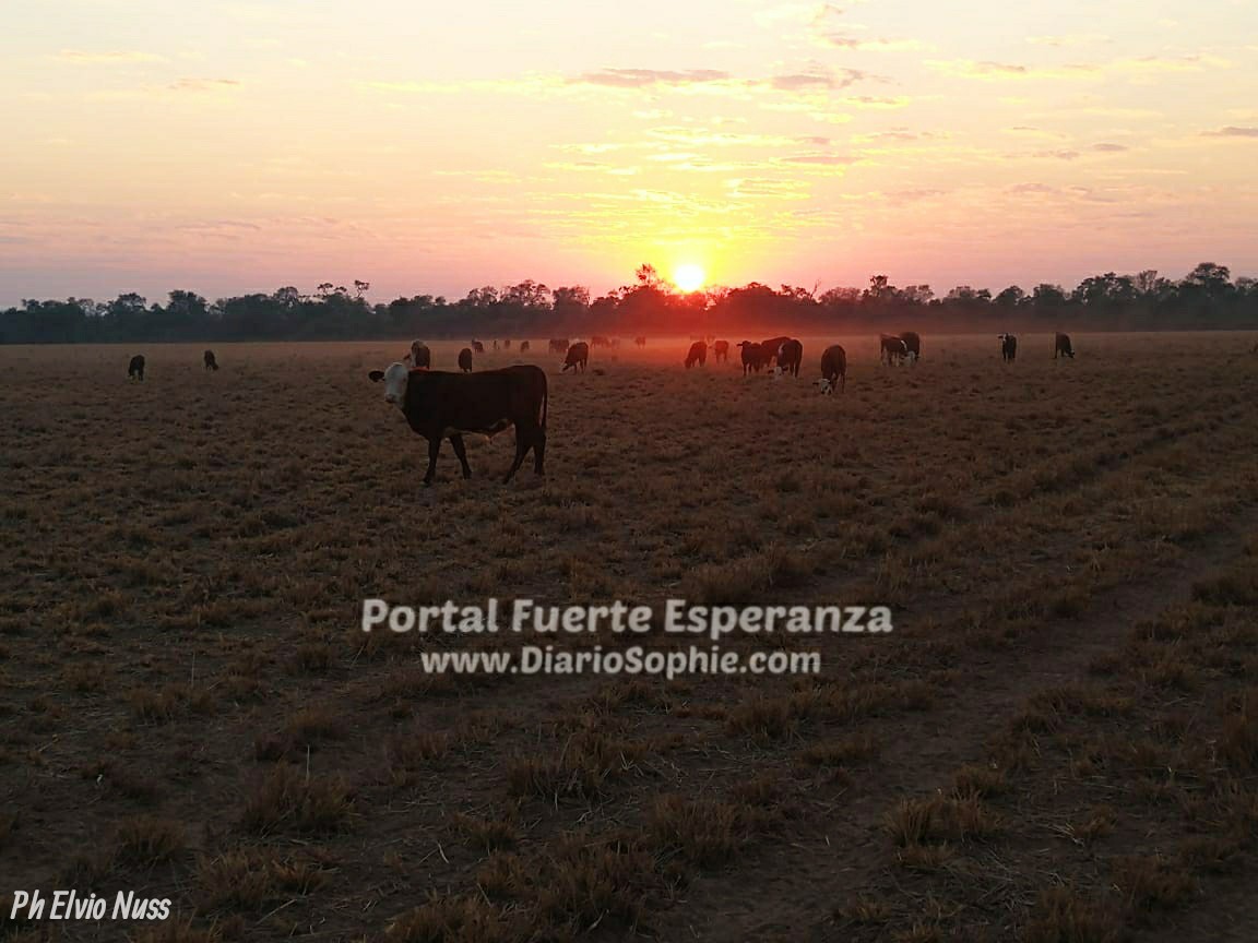 La Semana comenzará con temperaturas muy bajas y sin lluvias.