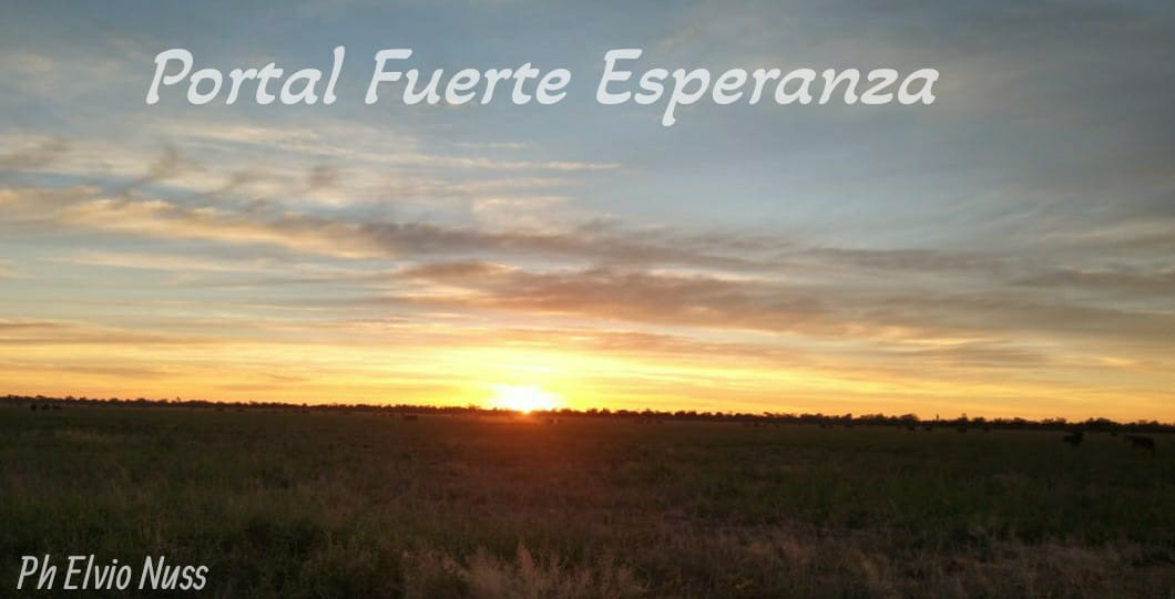 Fuerte Esperanza: La Temperatura Mínima marcó 1° C 🥶 | Junio de 2021