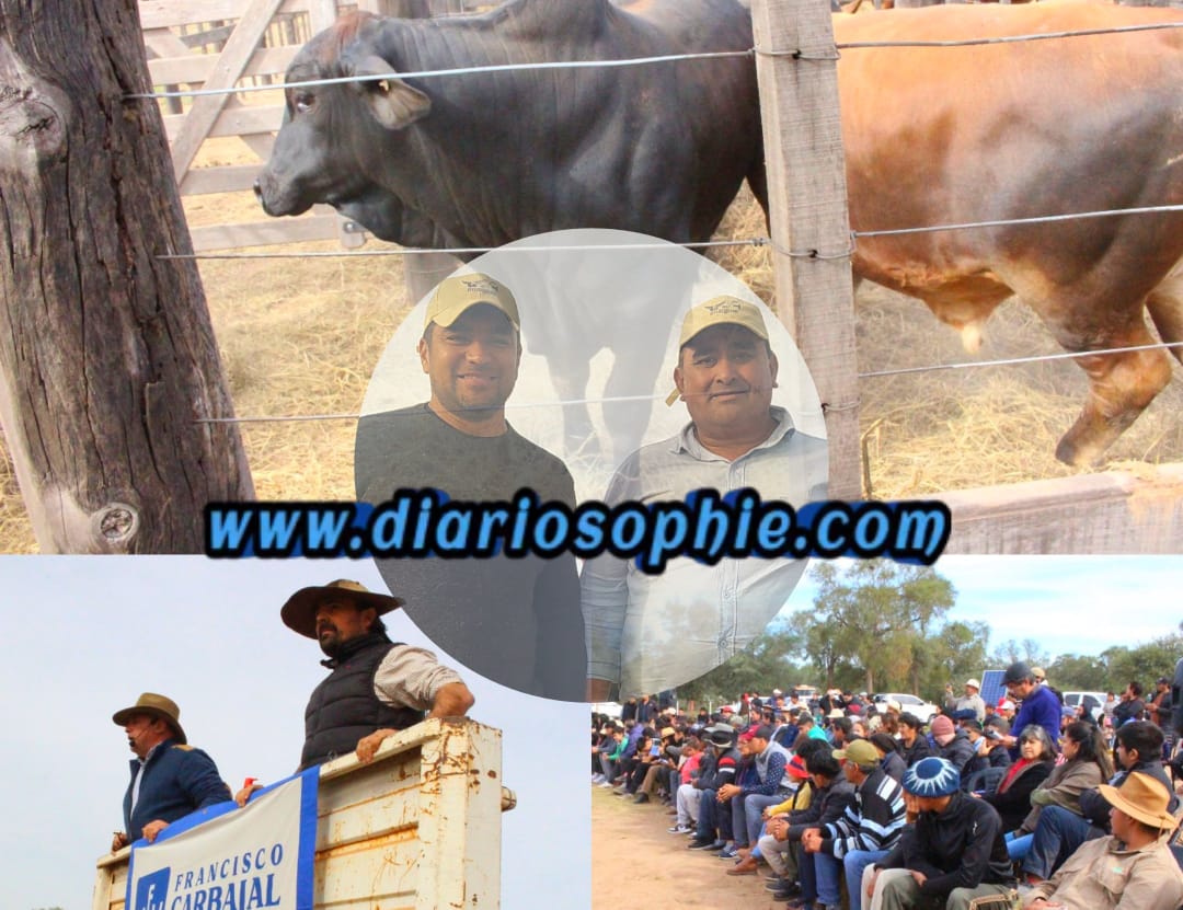 Éxito rotundo del primer remate de *Cabaña El Bagual* en Fuerte Esperanza.