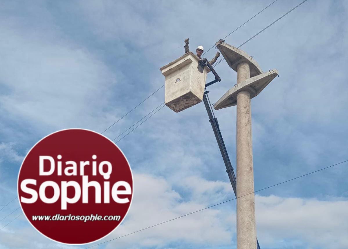 EL VERANO SE PLANIFICA HOY: SECHEEP AVANZA CON OBRAS CLAVES PARA FORTALECER LA RED ELÉCTRICA