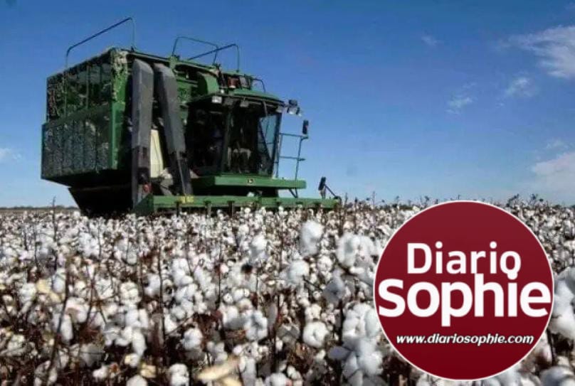 EL CONSEJO FEDERAL AGROPECUARIO SE REÚNE EN RESISTENCIA