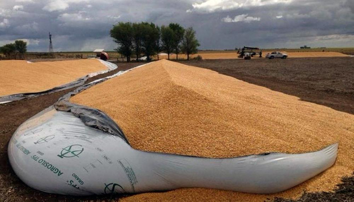Rotura de silobolsas: ya fueron dañadas 5.700 toneladas, denuncian entidades agropecuarias