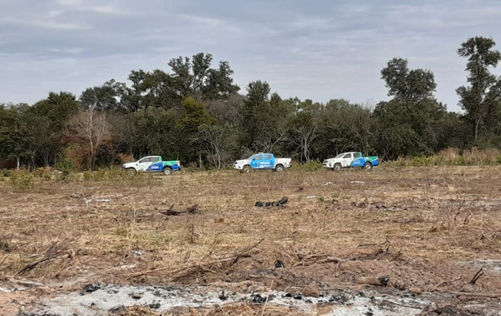 Desmontaron ilegalmente más de 160 hectáreas en el sudoeste de Chaco