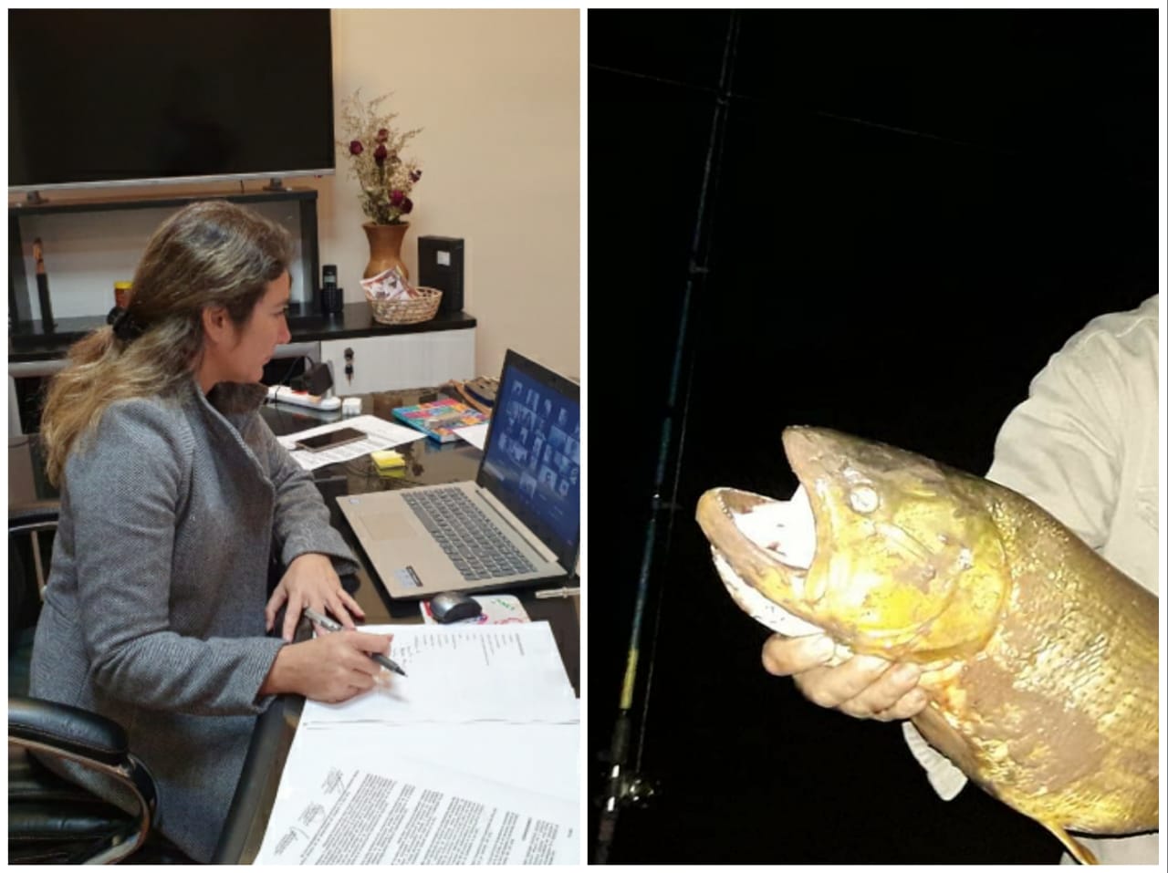 Desde el 24 de julio habilitarán la pesca deportiva con devolución.