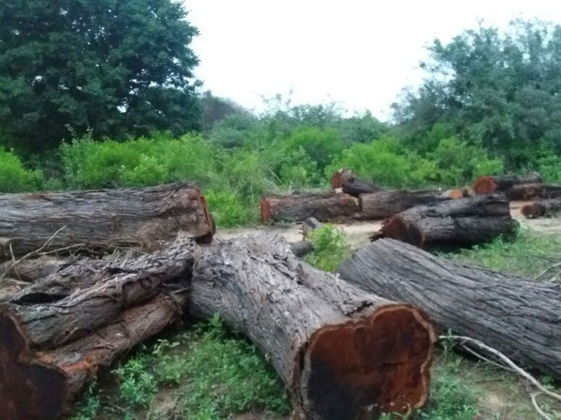 PARAJE EL CAUDILLO: AMENAZAS Y ATAQUES CONTRA FAMILIAS CAMPESINAS | DENUNCIA PÚBLICA.