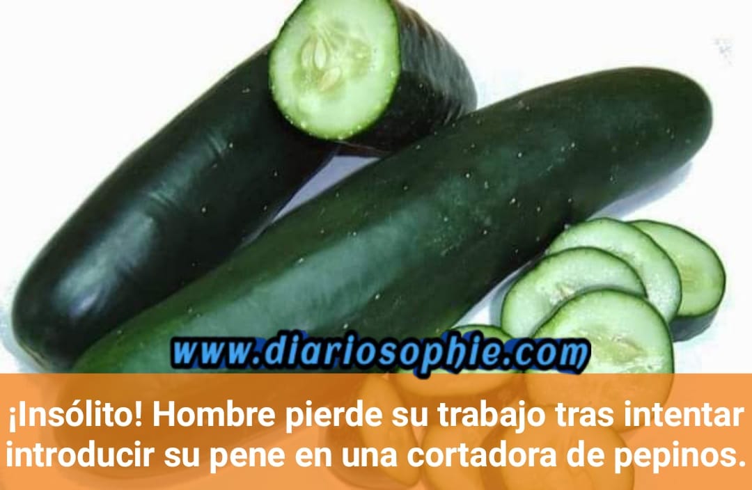 ¡Insólito! Hombre pierde su trabajo tras intentar introducir su pene en una cortadora de pepinos.