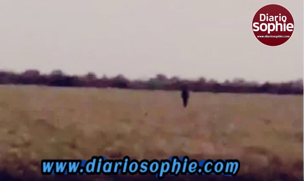 😱Tremendo Susto: Fueron a un campo de Salta y una sombra empezó a correrlos.