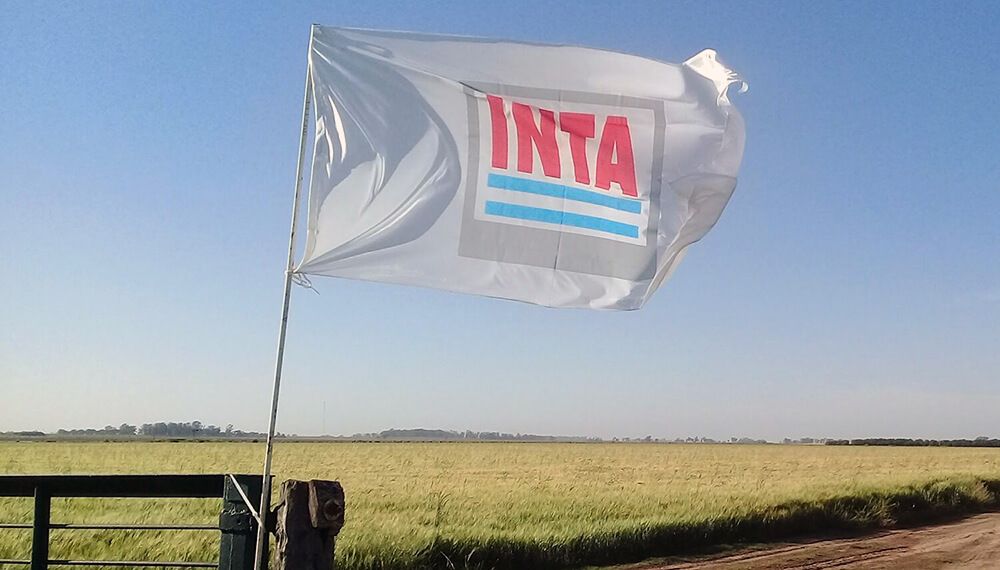 EL INTA RESPALDÓ EL PROCESO DE ACTUALIZACIÓN DEL OTBN