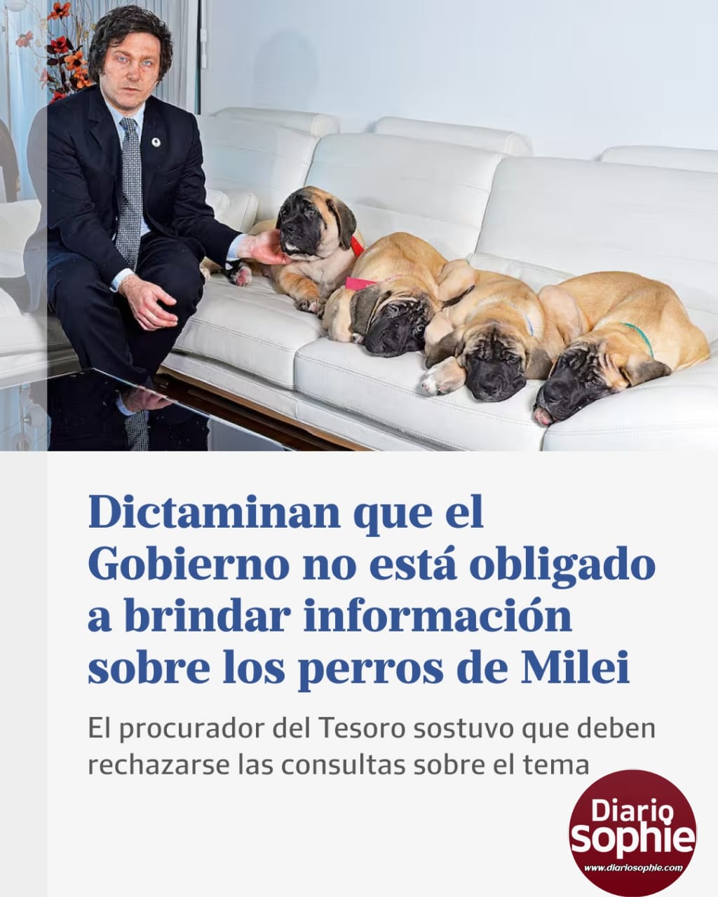 POLÉMICA POR LOS PERROS DE JAVIER MILEI