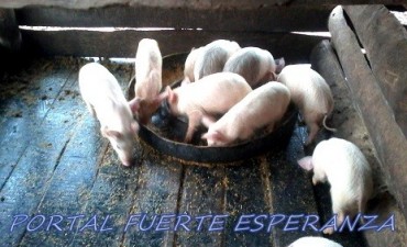 Actividad Productiva en la EFA N° 1