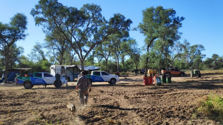 La Dirección de Bosques rectificó un informe de Greenpeace sobre desmontes y aseguran que “lo único que hacen las ONGs es pegarle a la provincia”
