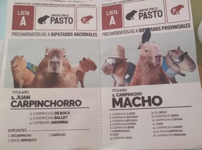 Se impone el *Carpincho Macho*, la Lista *Juntos por el Pasto* que apareció en el recuento de votos