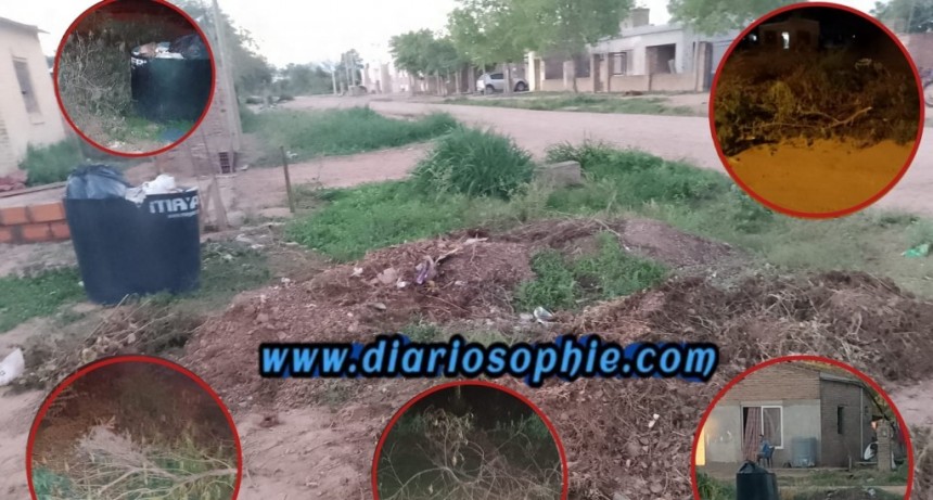 Fuerte Esperanza: Removieron las Ramas que vecinos habían reclamado, resta la basura.