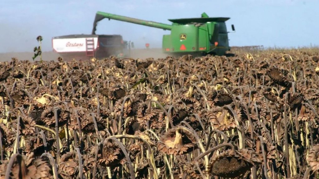 PRODUCTORES CHAQUEÑOS COMIENZAN A RECIBIR LA AUTORIZACIÓN SISTÉMICA DE CARTAS DE PORTE