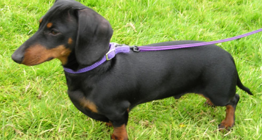 MAÑANA SE REALIZARÁ UN NUEVO 