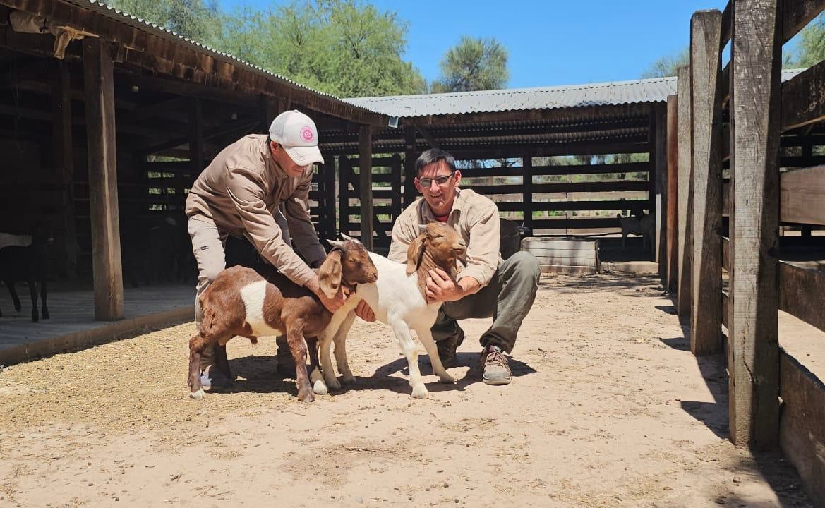 EL GOBIERNO PROVINCIAL FORTALECE A LOS PEQUEÑOS PRODUCTORES CON ASISTENCIA TÉCNICA Y DESARROLLO TERRITORIAL