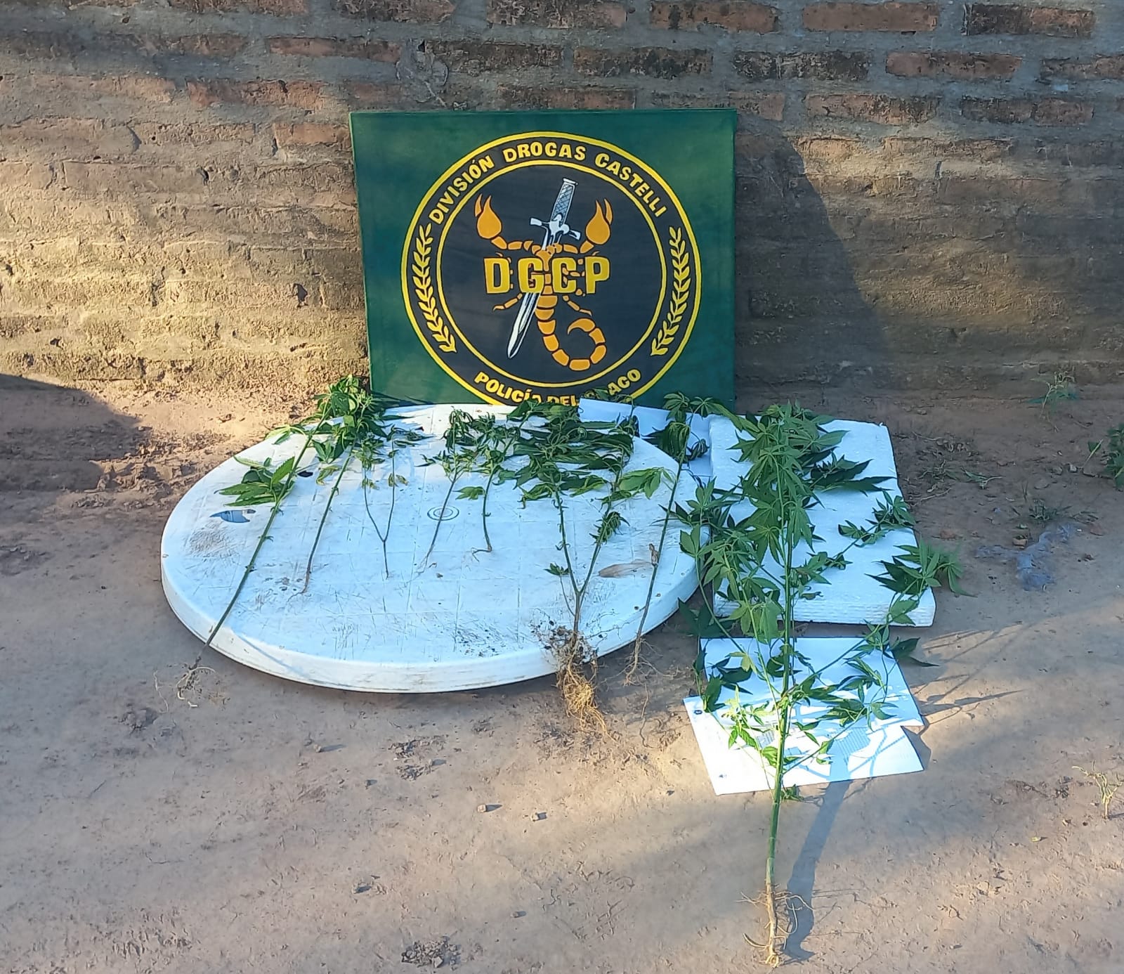 Informe Policial de los Distintos Operativos en la Provincia | 28-12-2023