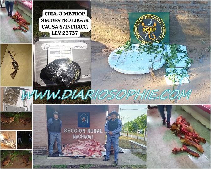 Informe Policial de los Distintos Operativos en la Provincia | 29-12-2023