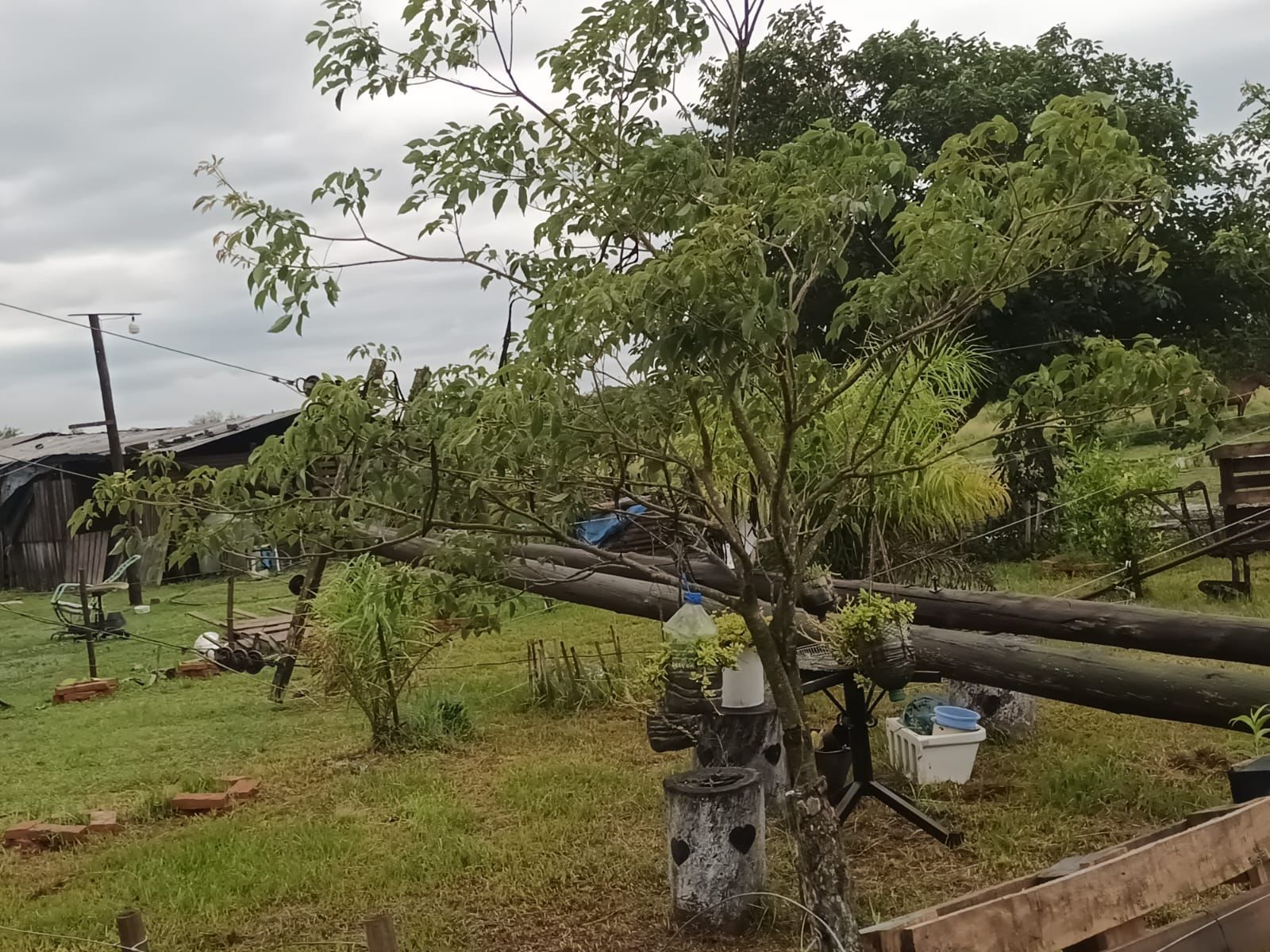 SECHEEP: CONTINUAN LAS REPARACIONES EN ZONAS RURALES