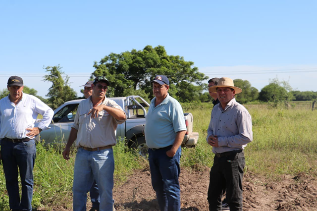 PRESIDENCIA ROCA PRODUCE 80 HECTÁREAS DE BATATA CON INVERSIÓN PRIVADA Y ACOMPAÑAMIENTO PROVINCIAL