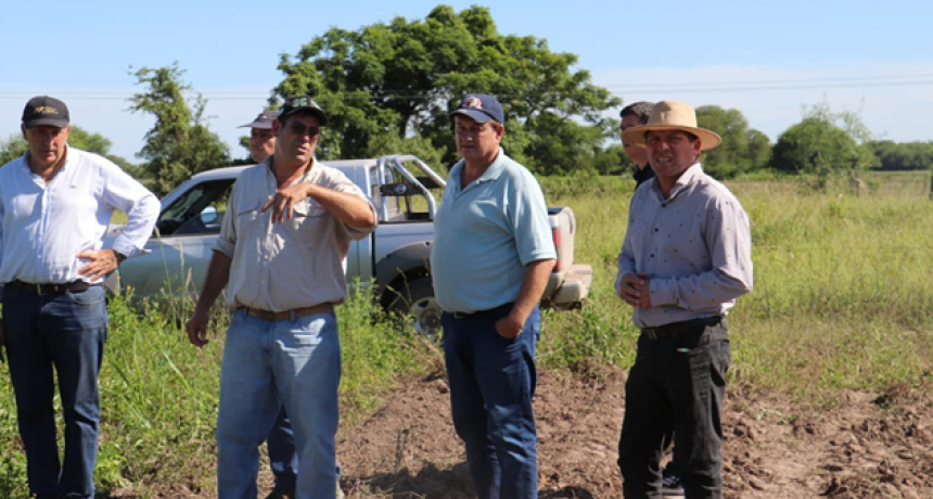 PRESIDENCIA ROCA PRODUCE 80 HECTÁREAS DE BATATA CON INVERSIÓN PRIVADA Y ACOMPAÑAMIENTO PROVINCIAL