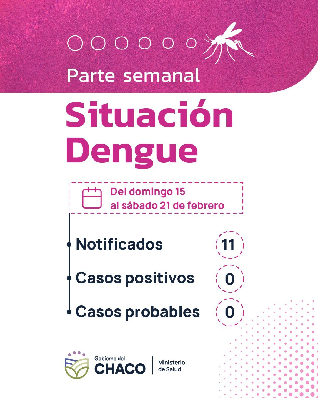 CHACO SIN DENGUE: NO SE REGISTRARON CASOS POSITIVOS, NI PROBABLES EN LA &Uacute;LTIMA SEMANA