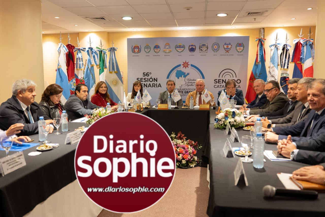 CHACO SE COMPROMETIÓ CON LA SEGURIDAD REGIONAL EN EL PLENARIO DE VICEGOBERNADORES DEL NORTE GRANDE
