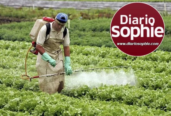 EL GOBIERNO RECUERDA QUE ESTÁ PROHIBIDO APLICAR HERBICIDAS HORMONALES EN CHACO, DESDE EL 1 DE AGOSTO AL 31 DE MARZO