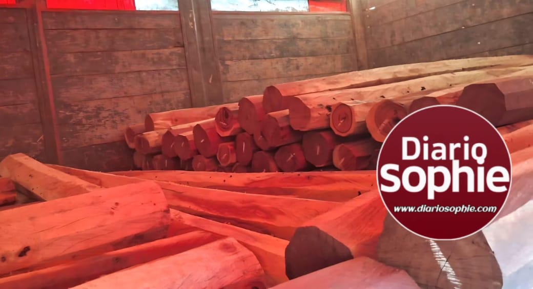 BOSQUES: SECUESTRAN MAQUINARIA Y CARGAMENTO ILEGAL DE QUEBRACHO COLORADO