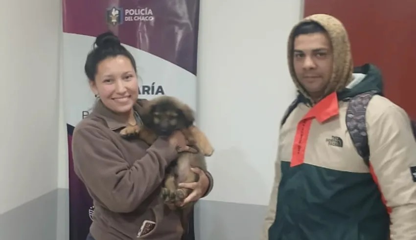 PERDIÓ A SU PERRO EN BARRANQUERAS Y LA POLICÍA LO RECUPERÓ