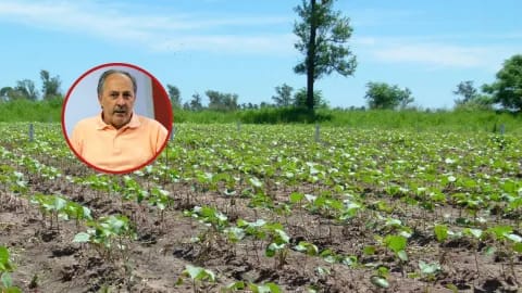 CHACO PRORROGÓ LA EMERGENCIA AGROPECUARIA PARA PROTEGER A PRODUCTORES ENDEUDADOS