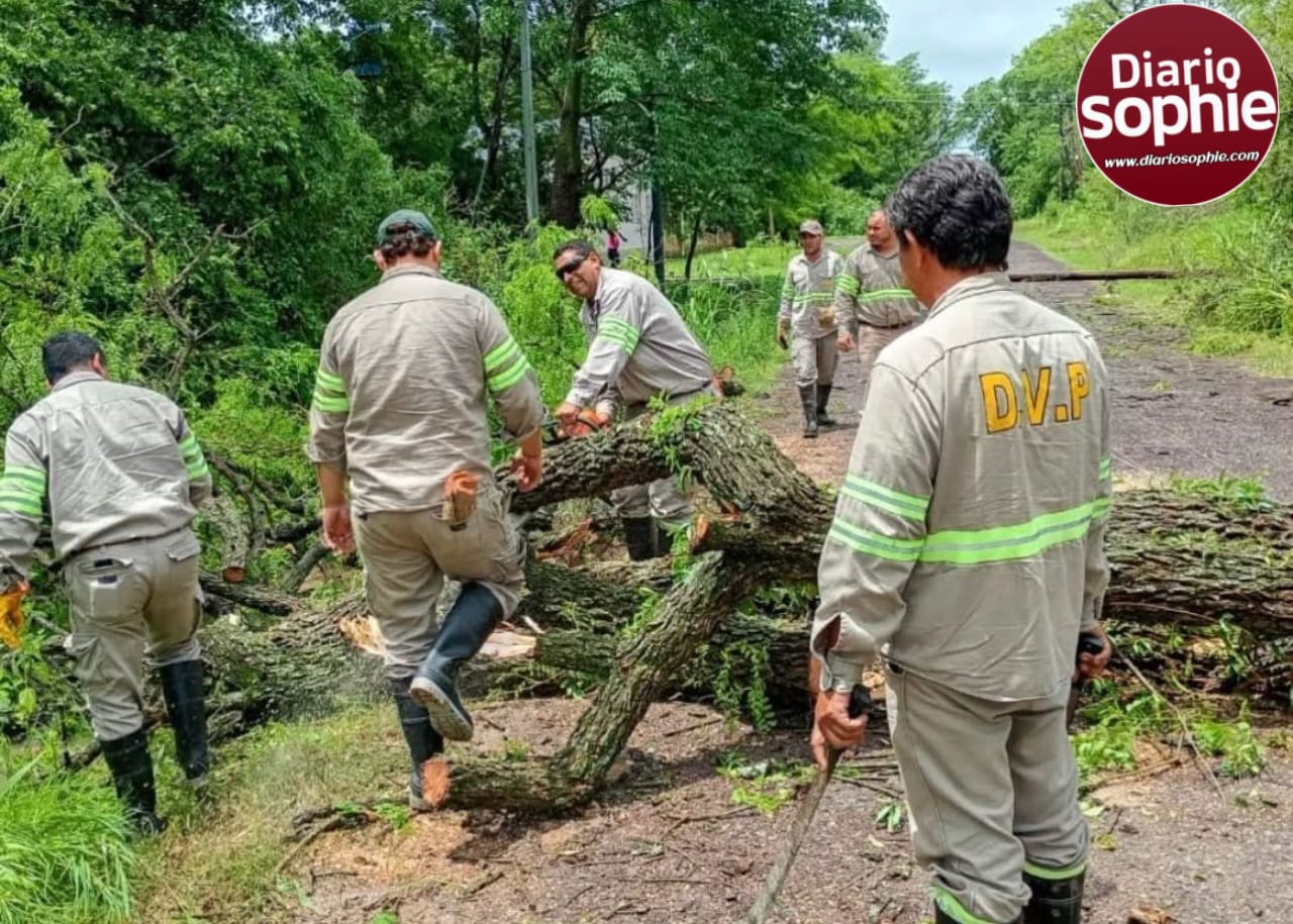 VIALIDAD PROVINCIAL TRABAJA EN COLONIA BENÍTEZ, TRAS EL TEMPORAL.